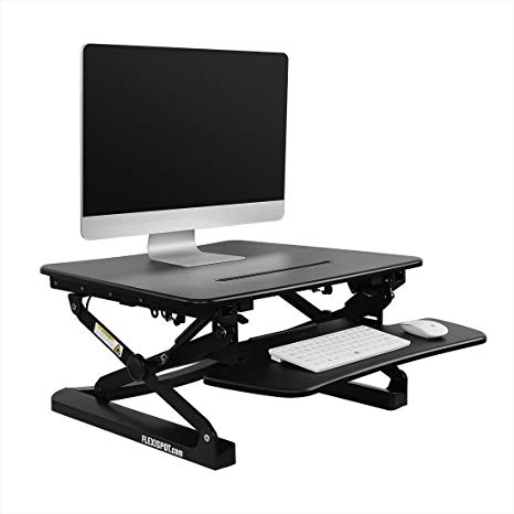 FlexiSpot 27" Wide Platform Height Adjustable Standing Desk, Removable Keyboard Tray, Black (M1B)