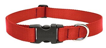 LupinePet 1 Inch Adjustable Dog Collar for Medium to Large Dogs