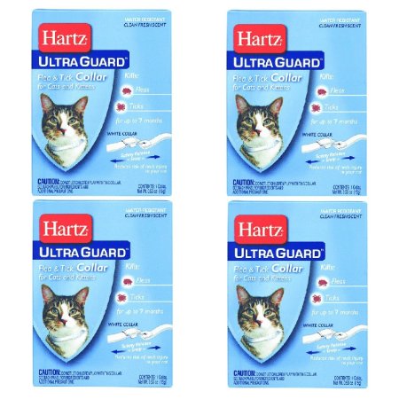 Hartz Mountain 80483 Ultraguard Flea and Tick Collar for Cats and Kittens