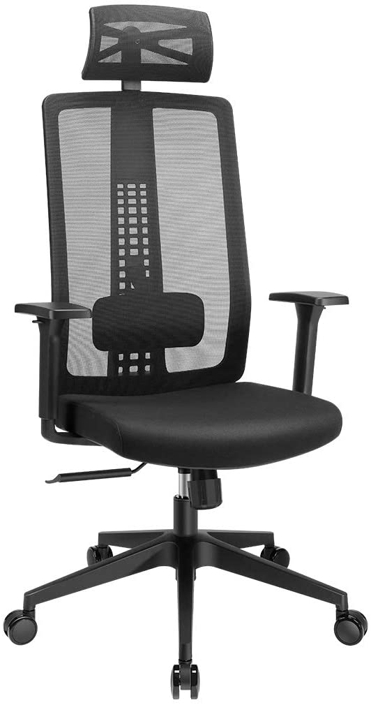 LANGRIA Office Chair High-Back Mesh Chair, Fully Adjustable Computer Chair with Extra Two Casters, Executive Chair with Adjustable Lumbar Support, Tilt Function and 3 Position Lock, Black