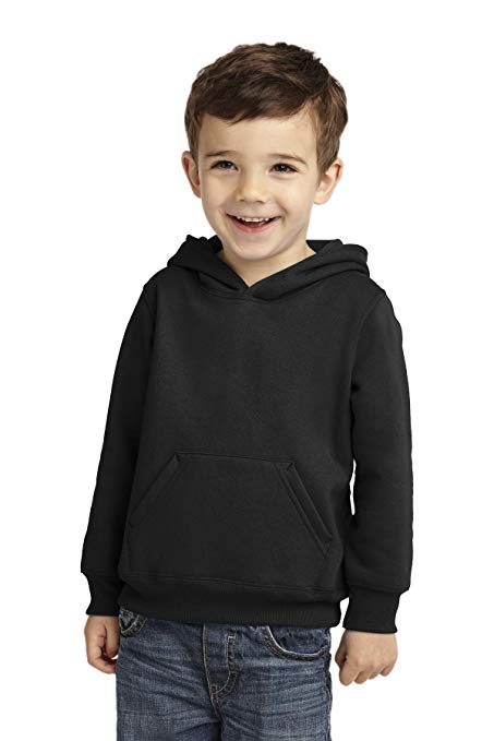 Precious Cargo unisex-baby Pullover Hooded Sweatshirt