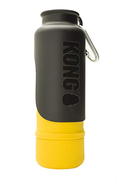 KONG H2O - Insulated Stainless Steel Dog Water Bottle - 25 oz