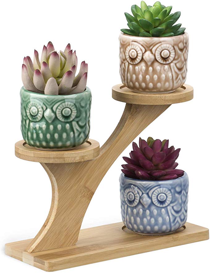 3pcs Owl Succulent Pots with 3 Tier Bamboo Saucers Stand Holder - Colours Modern Decorative Ceramic Flower Planter Plant Pot with Drainage - Home Office Desk Garden Mini Cactus Pot Indoor Decoration
