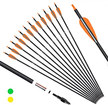 KESHES Archery Carbon Hunting Arrows for Compound & Recurve Bows - 30 inch Youth Kids and Adult Target Practice Bow Arrow - Removable Nock & Tips Points (12 Pack)