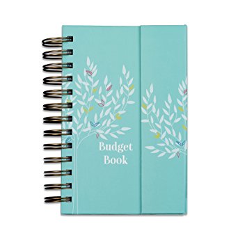 Boxclever Press Budget Book. Monthly bill organiser and accounts book to keep track of personal finances, with pages to track home expenses and pockets for receipt storage. (Teal)
