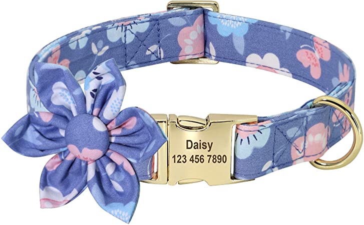 Beirui Custom Flower Girl Dog Collar for Female Dogs- Floral Pattern Engraved Pet Collars with Personalized Gold Buckle(Butterfly, XS)