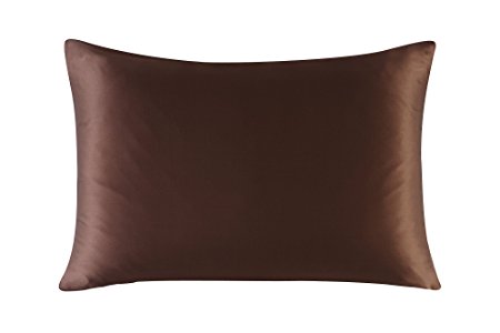 16mm Silk Pillowcase Queen Size Pillow Case Cover with Hidden Zipper Satin Underside Brown