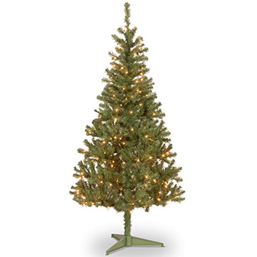 National Tree 6 Foot Canadian Grande Fir Wrapped Tree with 200 Clear Lights (CFG7-300-60)