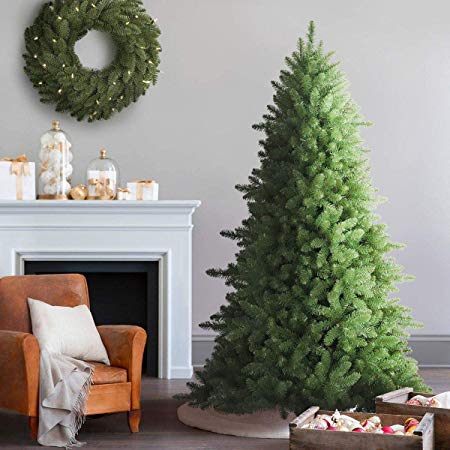 Balsam Hill Berkshire Mountain Fir Artificial Christmas Tree, 9 Feet, Unlit