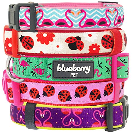 Blueberry Pet The Glam Life of Ladybug or Flamingo Love Designer Dog Collar, Matching Leash & Harness Available Separately