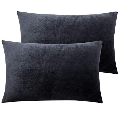 NTBAY Zippered Velvet Queen Pillowcases, 2 Pack Super Soft and Cozy Luxury Solid Color Pillow Cases, 20 x 30 Inches, Charcoal Grey