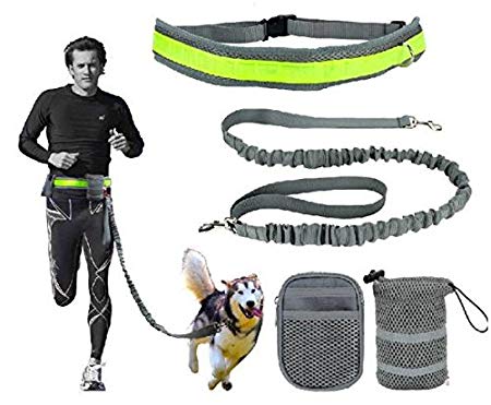 Aidle Running/Jogging/Walking Hands Free Pet Puppy Dog Leash with Pouch/Waist Bags, Reflective Waist Belt, Elastic Leash (Gray)