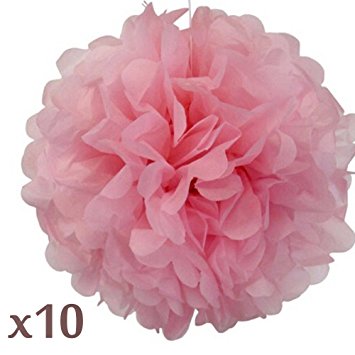 WOM-HOPE® 10 Pack 10 Inches Tissue Paper Pom Pom Flower Ball Pom-poms - Wedding Party Supplies Decorations Birthday Parties and Baby Showers Party Decorations (Light Pink (10-inch Diameter))