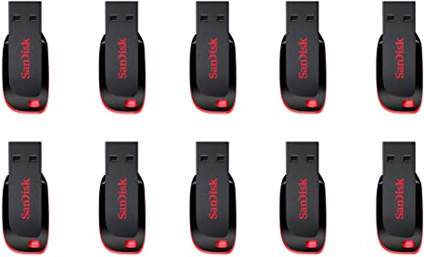 SanDisk 32GB Cruzer Blade USB 2.0 Flash Drive (SDCZ50-032G) Pack of 10