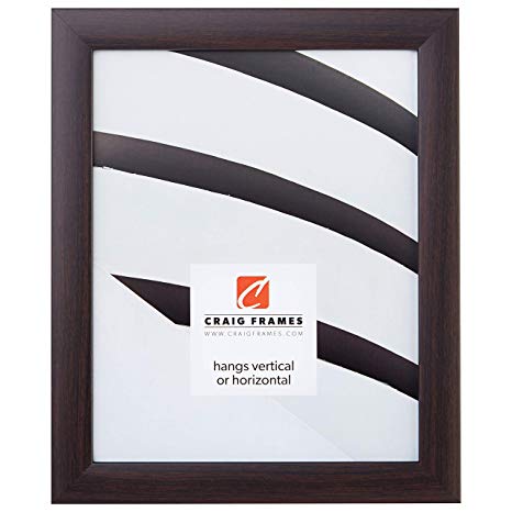 Craig Frames 23247778 10 x 15 Inch Picture Frame, Smooth Finish, 1-Inch Wide, Brazilian Walnut Brown