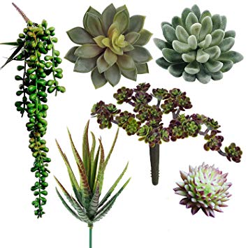 Supla Pack of 6 Assorted Artificial Succulents Plant Picks Textured Faux Succulent Pick Succulent Stems Fake Succulent Bouquet String of Pearls Succulent Faux Succulent Floral Arrangement Accent