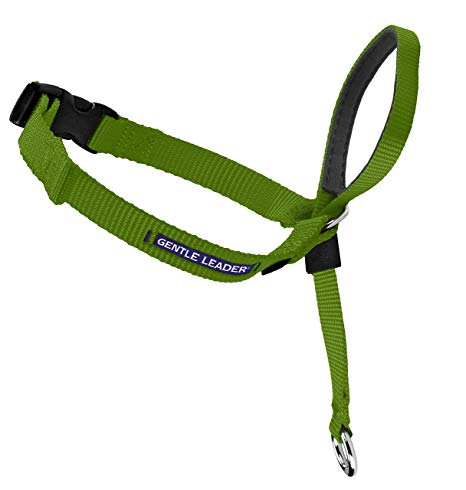 PetSafe Gentle Leader Head Collar with Training DVD