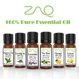 ZAQ Aromatherapy Top 6 100 Pure Therapeutic Essential Oil Gift Set- 1 Oz Lavender Tea Tree Eucalyptus Lemon Orange Peppermint