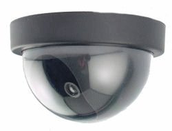 Motion Activated Dome Dummy Camera