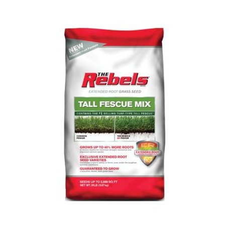 Pennington 100086592 The Rebels Tall Fescue Grass Seed, 20-Pound