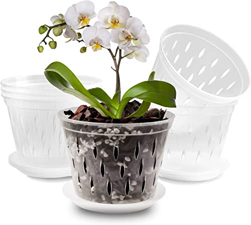 Lanccona 5 Inch 6 Pack Orchid Pot with Holes and Saucers Clear Orchid Pot Plant Pot