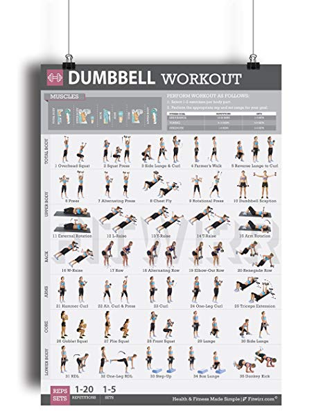 Dumbbell Exercise Workout Poster for Women - LAMINATED - Exercise For Women - Leg, Arm, Exercises - Home Gyms - Fitness Chart - Resistance Training Exercises - Total Body workout Exercise poster