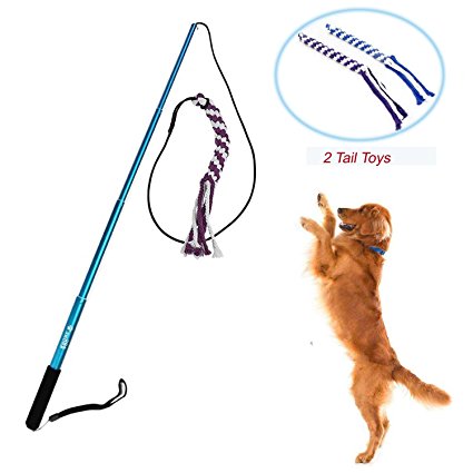 Wellbro Interactive Dog Extendable Teaser Wand, with 2 Rope Chew Tail Toy, Best Training and Excercing Teaser Toys for Small Medium Dogs