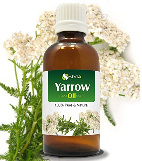 Yarrow Essential Oil (Achillea millefolium) 100% Pure & Natural - Undiluted Uncut Premium Oil -Therapeutic Grade- Use for Aromatherapy (15 ML)