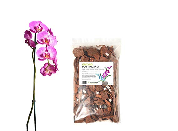 Organic Orchid Potting Mix by Perfect Plants - 1 Quart Special Blend for Proper Root Development on All Orchid Plant Types