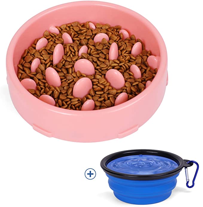 JASGOOD Slow Feeder Dog Bowl with Collapsible Dog Bowl-Puppy Puzzle Dog Food Bowl,Fun Feeder No Choking,Slow Eating Dog Bowl for Medium Dogs