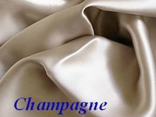 Champagne 100% Mulberry Silk Pillowcase Queen/standard for Hair and Facial Beauty