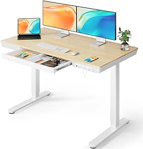 ErGear Electric Standing Desk, 48 x 24 inch Standing Desk with Drawer, Sit Stand Desk with Preassembled Top & USB Charging Ports, Height Adjustable Standing Desk for Home & Office (Natural Wood)