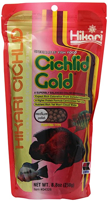 Hikari 8.8-Ounce Cichlid Gold Floating Pellets for Pets, Medium