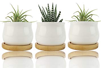 NeutralPure ECO White Ceramic Plant Pot Set with Bamboo Tray (3 Pcs)
