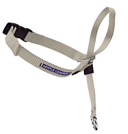 PetSafe Gentle Leader Head Collar with Training DVD