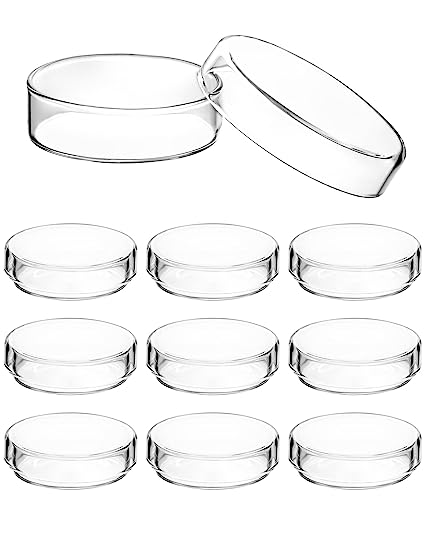 QWORK Glass Petri Dish Petri Plates with Lid, Thicken, 60mm x 18mm, 10 Pack