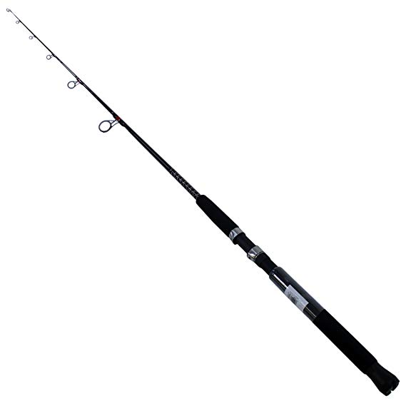 Shakespeare Ugly Stik Bigwater Spinning Rod - 1397881