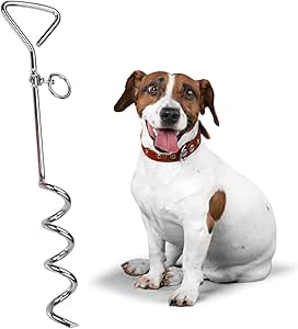 Chrome Dog Stake - Stainless Steel Heavy-Duty Outdoor Tie-Out for Dogs Play Boundary for Puppies & Adult Dogs