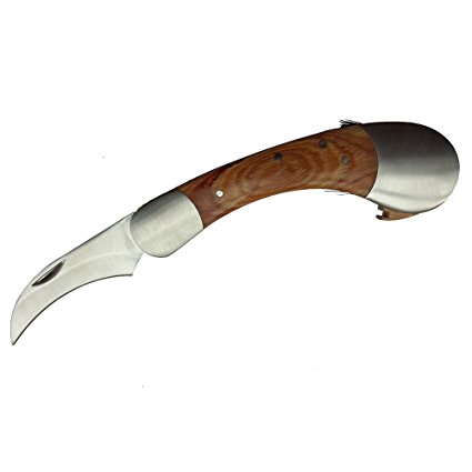 HANZIUP Folding Mushroom Knife Solid Wood Handle and Foldable Cleaning Brush