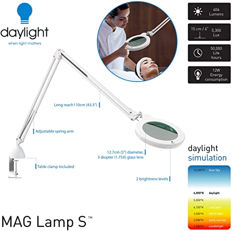 Daylight Company MAG Lamp S, Metal, 12 W, White