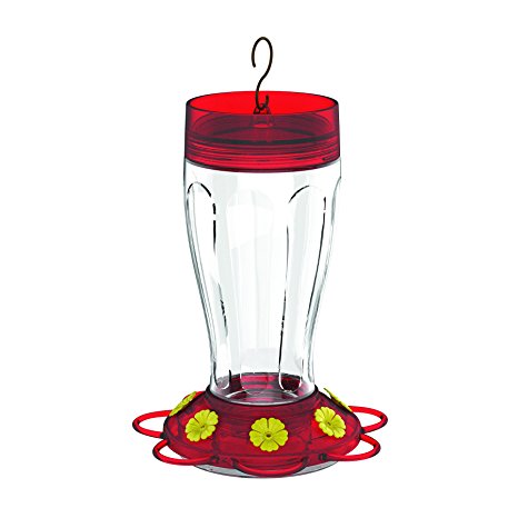 More Birds Hummingbird Feeder, Big Gulp Glass Hummingbird Feeder, 40-Ounce Hummingbird Nectar Capacity