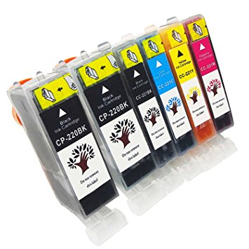 GREENSKY 6 Pack Compatible Ink Cartridge Replacement for Canon PGI-220 & CLI-221(2BX,1B,1C,1M,1Y) Compatible With Canon PIXMA MX860, MP540, MP550, MP560, MP620, MP630, MP640, MP990, iP4600 etc