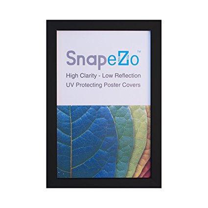 Black Snap Poster Frame 16x20 Inches, Aluminum Profile, Front Loading Quick Poster Change, Wall Mounted, Professional Series