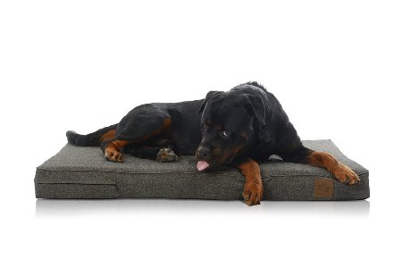 Laifug® Premium Memory Foam Orthopedic Extra Large Pet/Dog Bed | Durable Waterproof Liner | Removable Designer Washable Cover | Helps Ease Pain of Arthritis & Hip Dysplasia for Dogs |