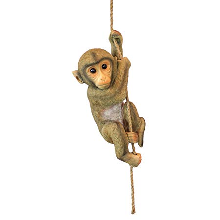 Design Toscano Chico the Chimpanzee Baby Monkey Hanging Animal Statue, 16 Inch, Polyresin, Full Color