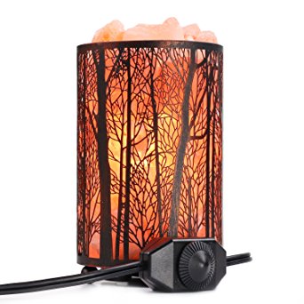 Himalayan Salt Lamp, Natural Pink Rock Salt Lamps with Dimmer Switch Control, ETL Approved, Salt Lamp Light for Air Purifying, Best Gift and Home Decor