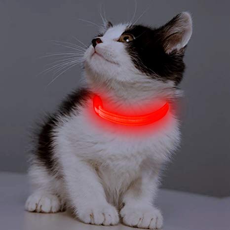 Bseen Led Dog Collar XS, USB Rechargeable Dog Collar Light Adjustable Reflective Safety Necklace for Small Pet Dog Cat
