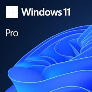 Microsoft Windows 11 Pro Activation Key [Internet Required For Downloading] Email Delivery in 24 Hours (Check Buyer/Seller Message) Authorised By Microsoft