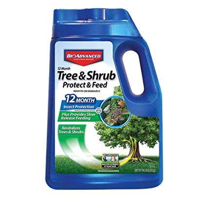 Bayer Advanced 701720 12 Months Tree and Shrub Protect and Feed Granules, 10-Pound (Not Sold in NY)