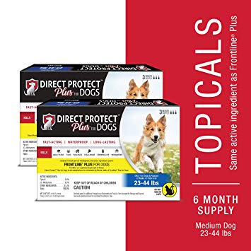 Direct Protect Plus 6 month supply, Medium